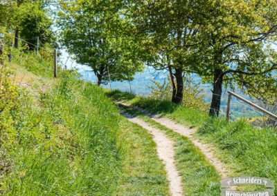 Wanderweg am Herrnberg