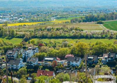 Weitblick nach Mainz